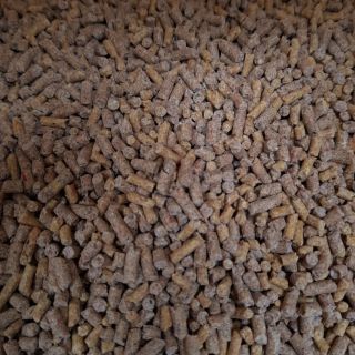 Cám con cò C24 dùng cho gà đẻ siêu trứng (5kg)