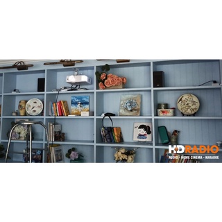 Máy chiếu Optoma HD29H