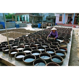 Nước mắm nguyên chất 1 lít