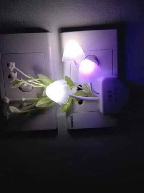 Đèn ngủ CẢM ỨNG hinh nấm dễ thương