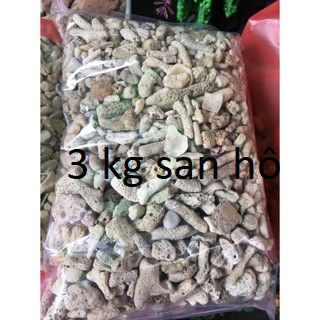 2 Kg san hô lọc nước bể cá cho nước luôn trong sạch