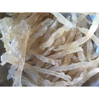 Cây giống Trôm lấy mủ.