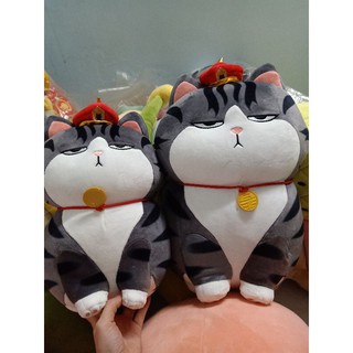 Mèo hoàng thượng 50cm