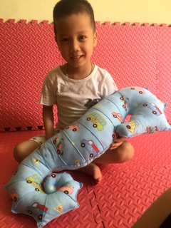 Gối ôm hình thú