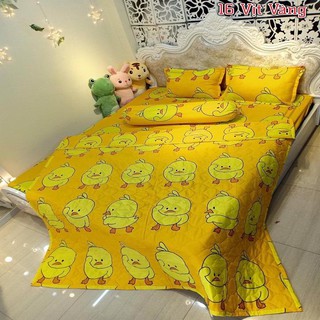 Mẫu  Chăn Phao trần bông  Siêu Nhẹ Poly 2019 Mẫu mới