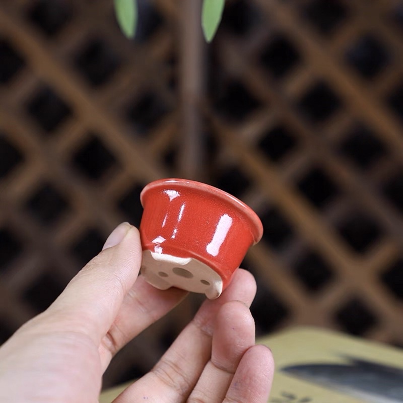 Chậu bonsai-Kích thước: cao: 2.8cm-lọt lòng 3.6cm-phủ bì: 4.6cm—lọt lòng chiều sâu: 2cm.