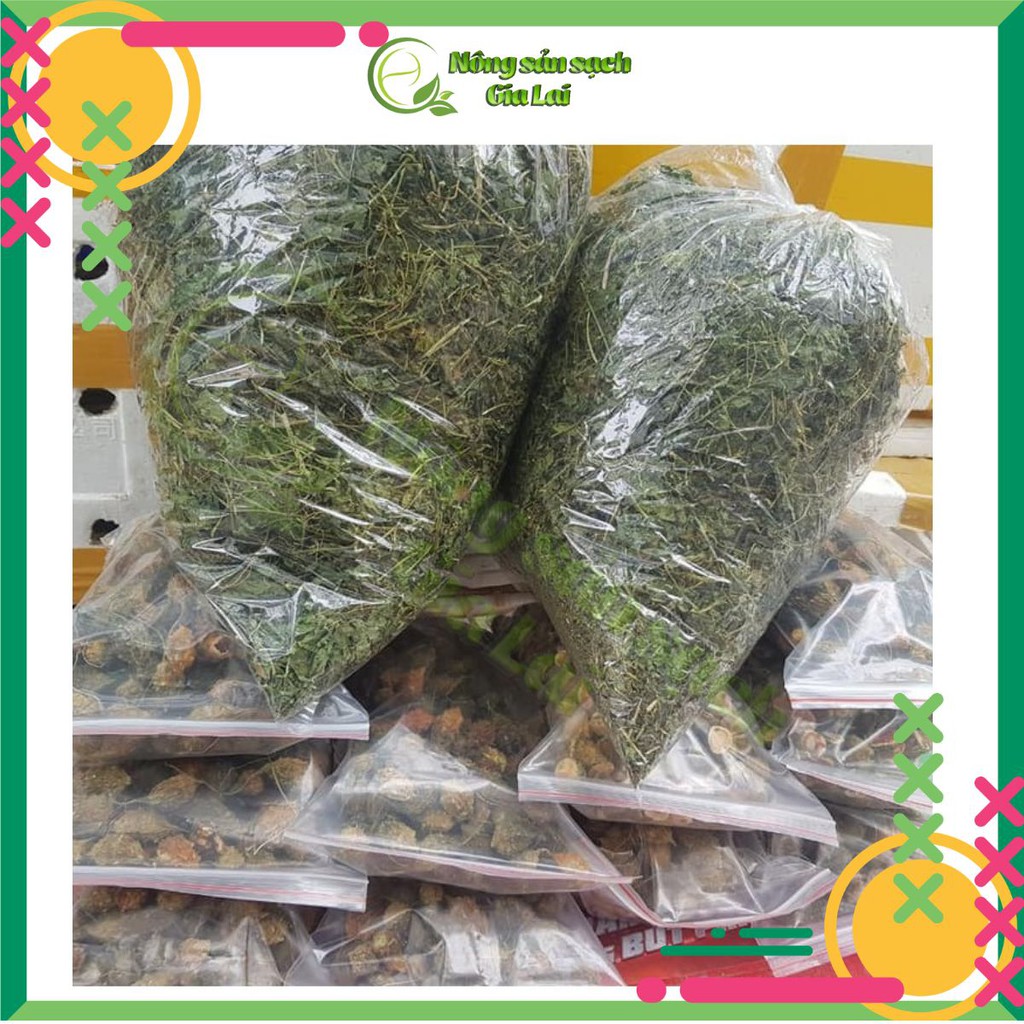 Cây khổ qua rừng hỗ trợ trị tiểu đường | BigBuy360 - bigbuy360.vn