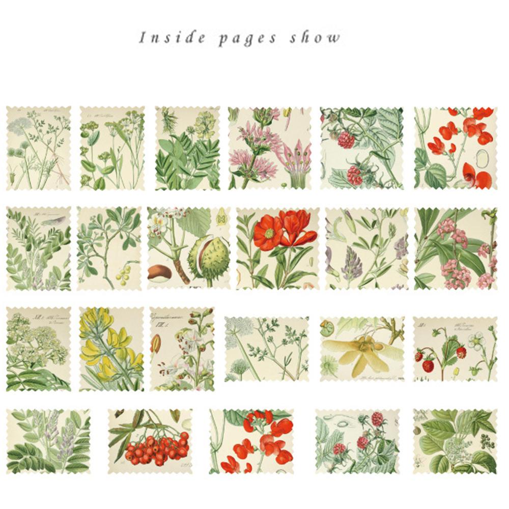 PEWANY Hạ gục cá chép 46 cái / gói 100 cái / gói 100 cái 100% 100% 100% 100% 100% 100% 100% 100% 100%