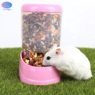 Hộp Đựng Thức Ăn Tự Động Cho Chuột Hamster