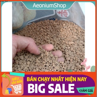 250Gr Đá Akadama Trồng Sen Đá, Xương Rồng Cực Xịn 💁