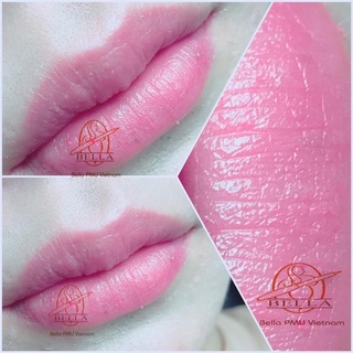 Bộ sản phẩm mực môi Bella