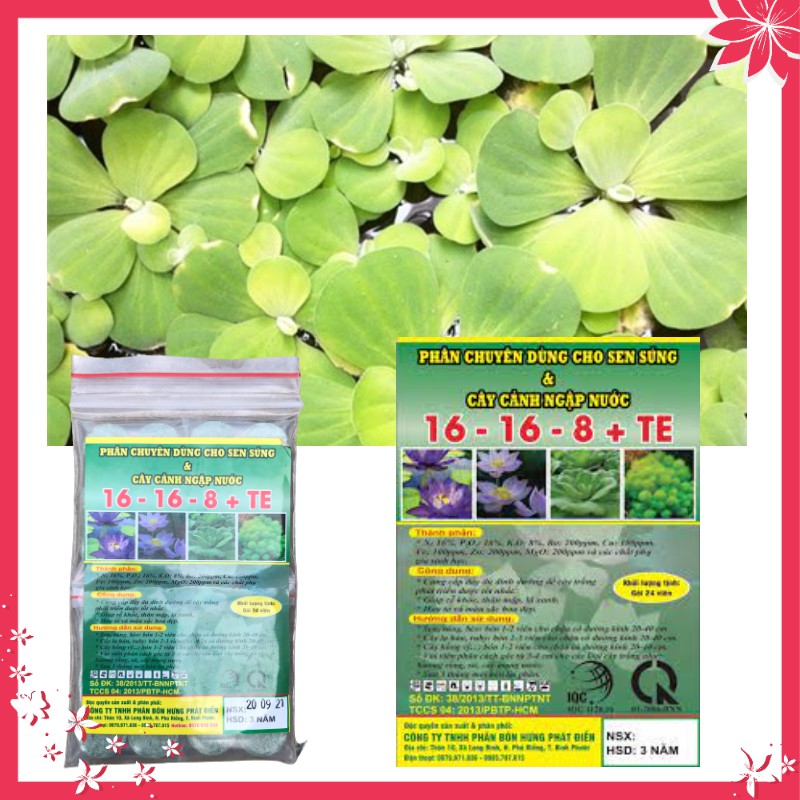 Phân Bón Hoa Sen Hồ Nuôi Cá Cảnh, NPK 16-16-8+TE- Cung Cấp Đủ Dinh Dưỡng Rễ Khoẻ, Thân Mập, Lá Xanh Gói 24 Viên