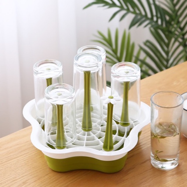 Úp cốc chén  hình bông mai 6 cốc  2670