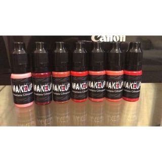 Mực Phun Môi MakeUp