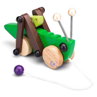 Đồ chơi gỗ - Châu chấu gỗ chính hãng Winwintoys 63252