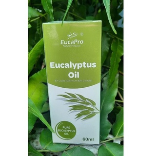 Dầu Khuynh Diệp Eucapro - Eucapro Eucalyptus Oil - 60ML