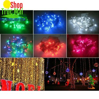 Dây đèn Led chớp ( nháy ) trang trí Noel ( Dài khoảng 5m, Điện )