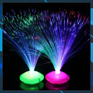 Đèn Led Sợi Quang Cực Đẹp