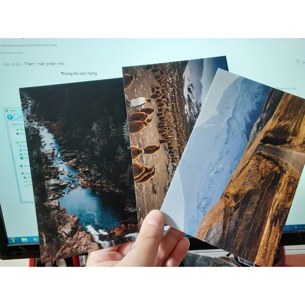 COMBO 10 TẤM POSTCARD CHỤP ẢNH - TREO DÂY TRANG TRÍ