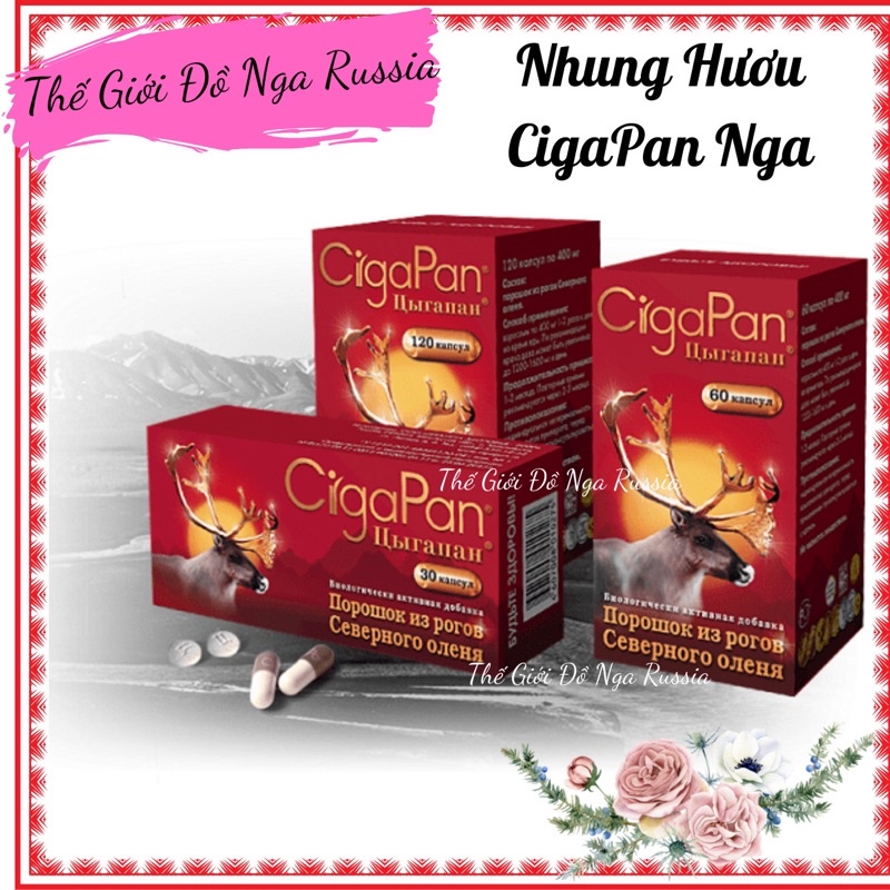 Viên uống nhung huou Cigapan Nga bồi bổ sức khỏe