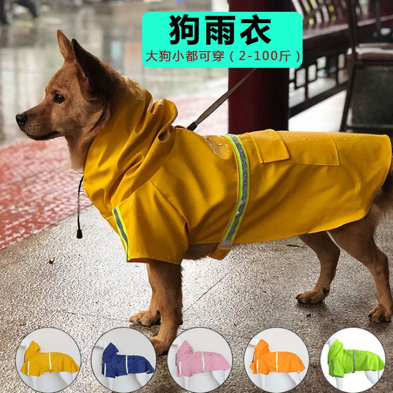 Áo mưa cho chó bông không thấm nước lớn choàng poncho săn vàng Labrador vừa cưng quần