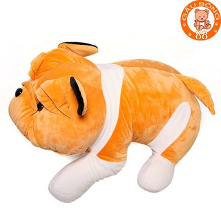 Gấu bông chó nhăn cao cấp size 60cm