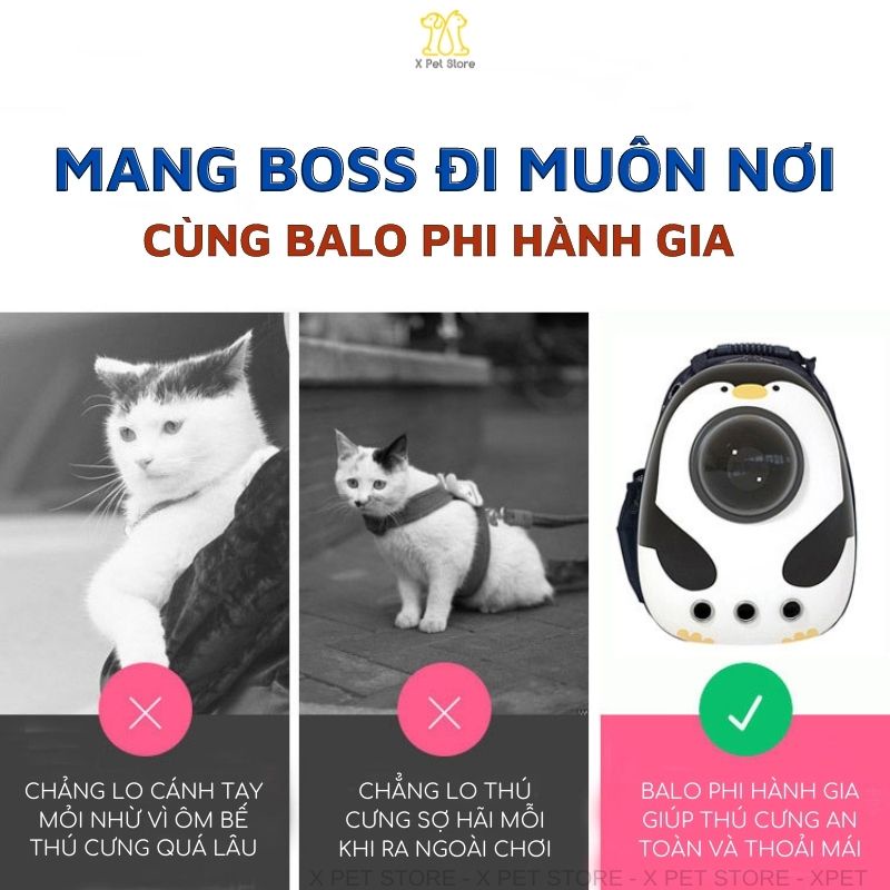 Balo Mèo Kiểu Dáng Trong Suốt Và Phi Hành Gia, Balo Thú Cưng Hàng Nhập Khẩu.