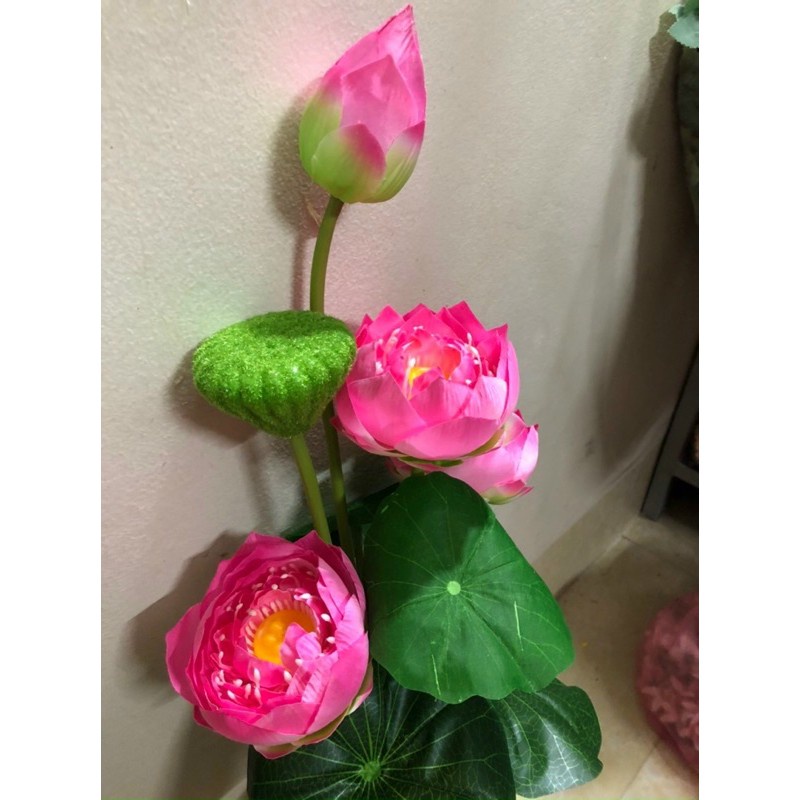 Cụm hoa sen cao cấp 10 nhánh, 70cm, có đài sen