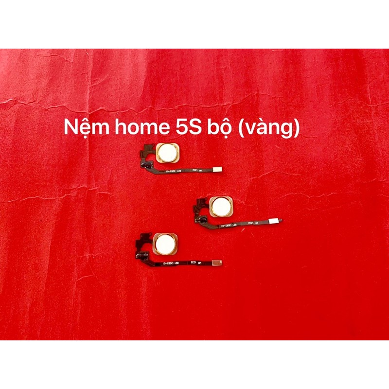 Nệm home iphone 5S bộ