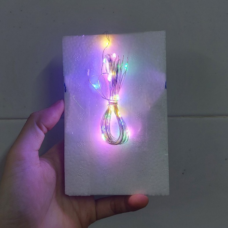 Bể cá mini 24 cm với 6 món