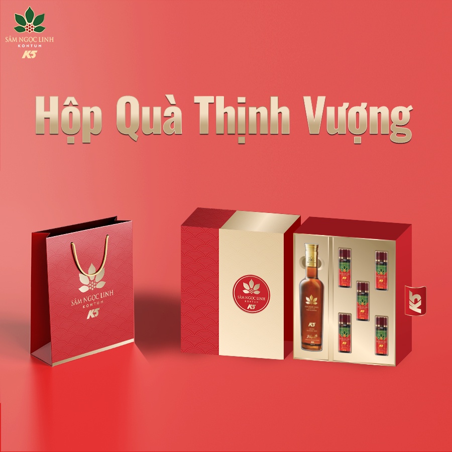 [Quà Tết] Hộp Quà Thịnh Vượng - Sâm Ngọc Linh Kon Tum K5 Chính Hãng