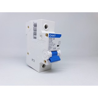 MCB - CB dạng tép NXB 1P 80A 100A 125A 10KA CHINT