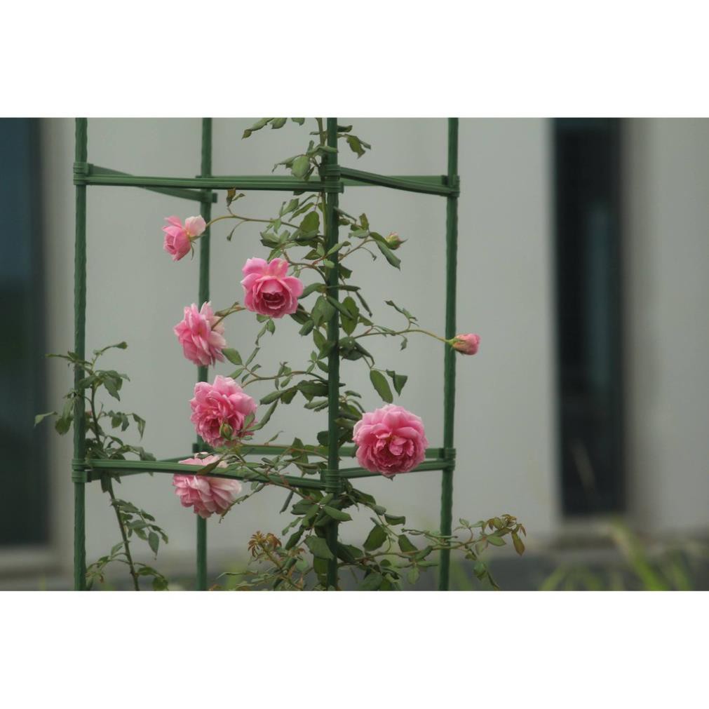 Set 5 khớp nối ngang dài 30cm cho ống thép bọc nhựa phi 11mm
