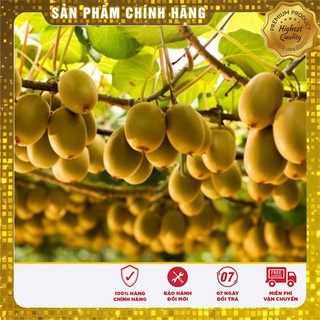 Hạt Giống Quả Kiwi LUCKY SEEDS  ( 30 hạt)