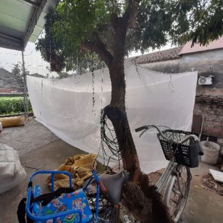 Mùng nuôi ruồi lính đen 6x2x2