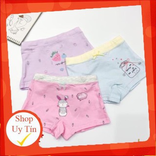 Set 3 quần chip siêu đẹp cho bé
