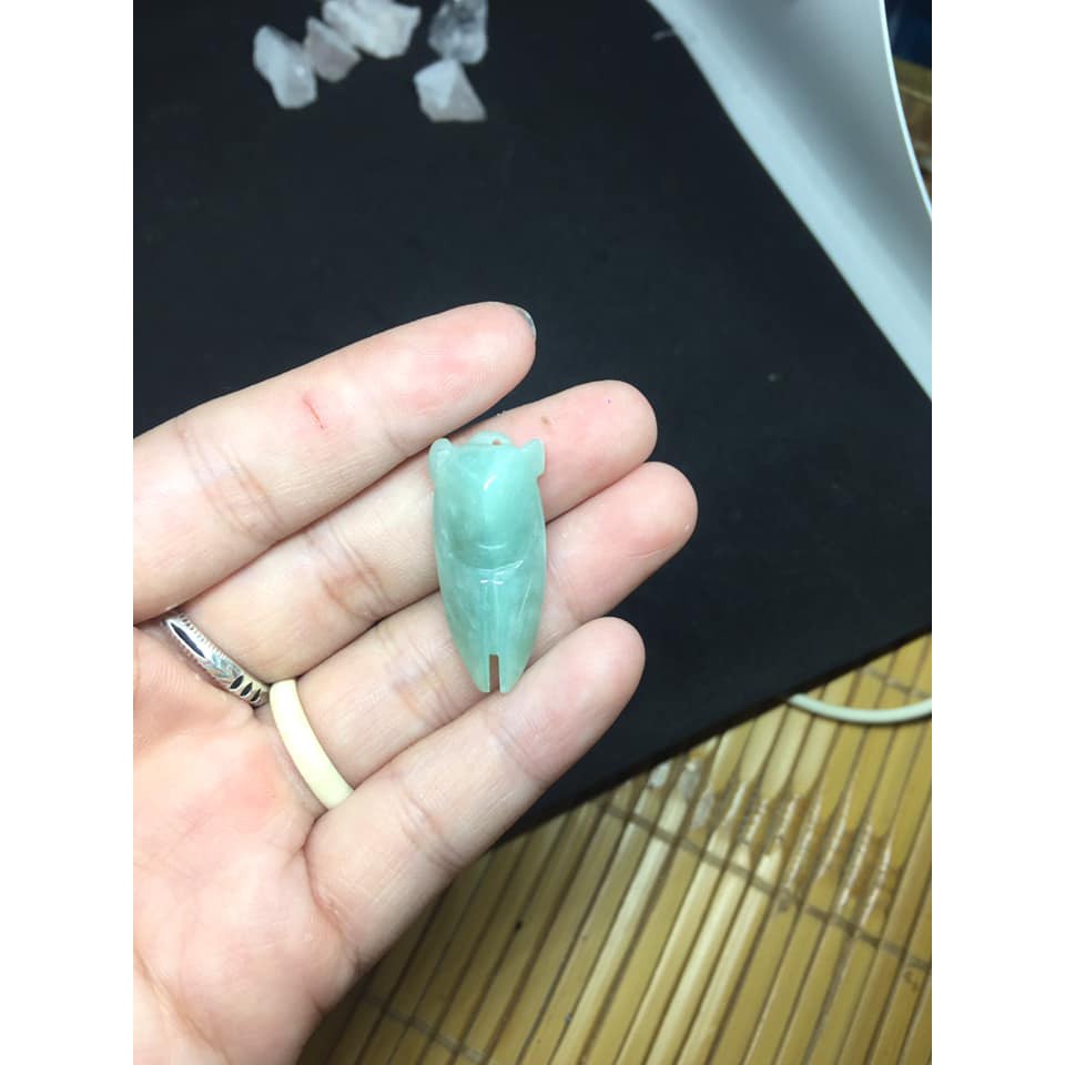 MẶT DÂY VE SẦU - CHO CÁC SĨ TỬ MÙA THI