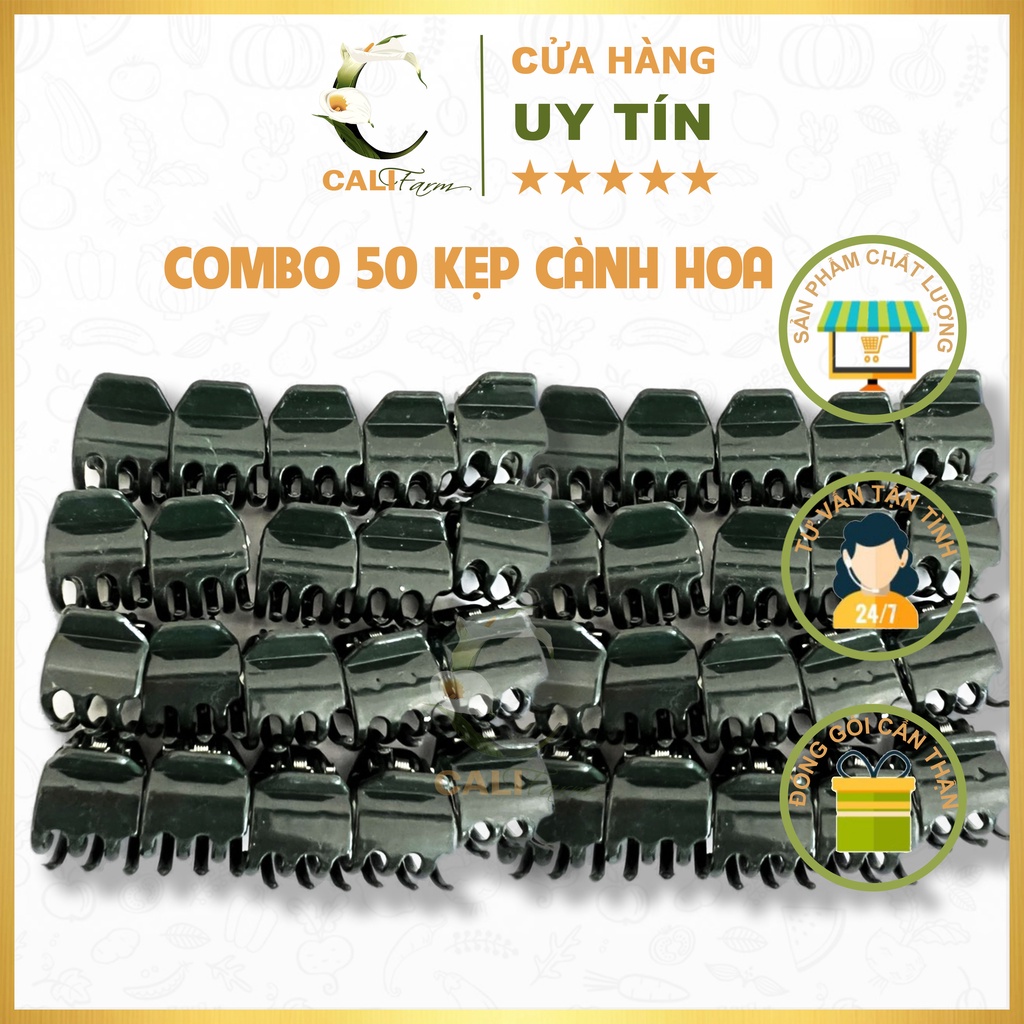 50 Kẹp Đại cố định cây lan, giúp cành Lan đứng vững không bị gãy gập