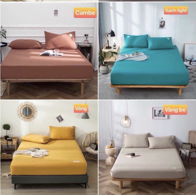 combo ga (drap) chun + 2 vỏ gối nằm cotton tc mềm mịn. nhắn tin để chọn mẫu (sét lẻ) | BigBuy360 - bigbuy360.vn