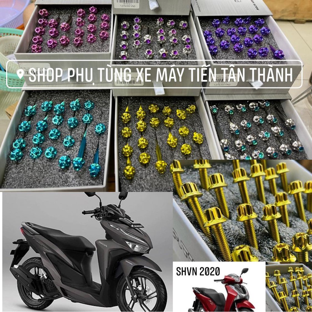 [COMBO] ỐC LỐC MÁY TITANTIUM GR5 (bolts - salaya G3)  CHO XE GẮN MÁY