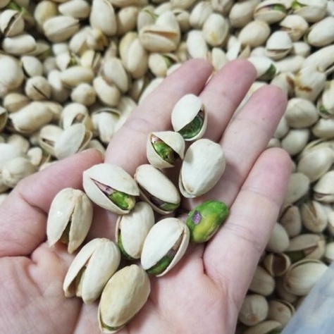 500g Hạt Dẻ Cười Mỹ Không Tẩy Trắng Pistachios
