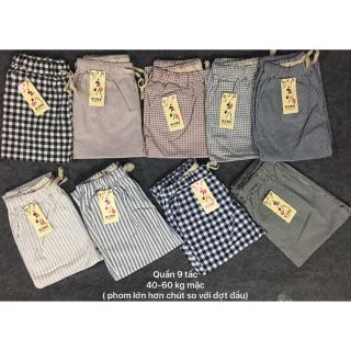 Combo Quần 9 tấc