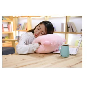 Gấu gối mền heo mắt kiếng