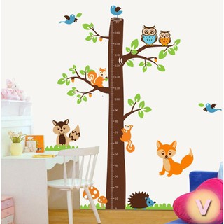 Decal dán tường Thước đo chiều cao sóc nâu