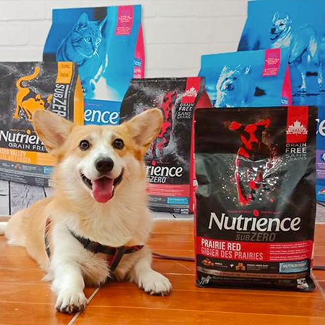 Thức Ăn Hạt Cho Chó Corgi Nutrience Subzero Da Lông Bóng Mượt Bao 5kg - 6 Loại Thịt Cá, Rau Củ, Trái Cây