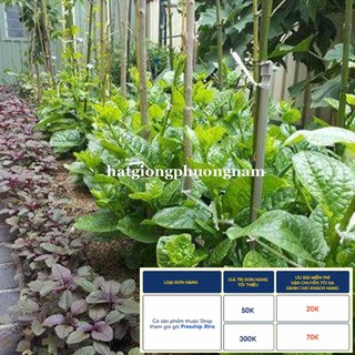 10GR - HẠT GIỐNG RAU MỒNG TƠI