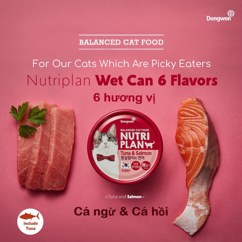 NutriPlan Hàn Quốc 160g thịt hộp cho mèo