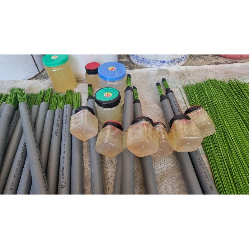 Bộ Bẫy chim bằng keo