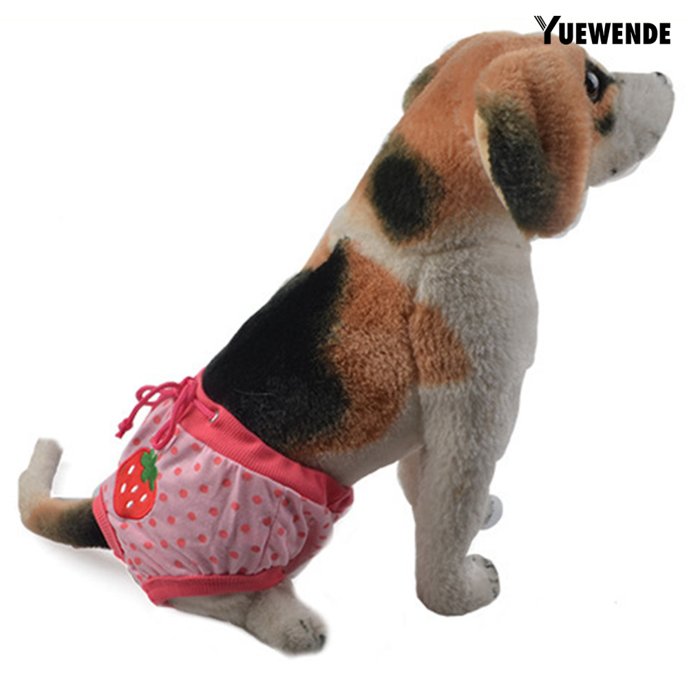 Quần Tã Đáng Yêu Cho Thú Cưng