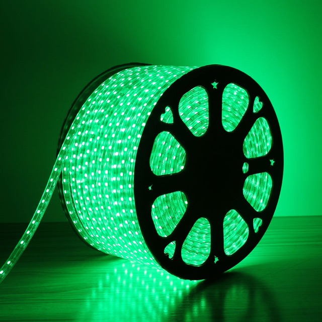 Dây led cuộn 100m 220v